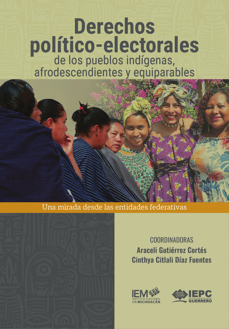 Derechos Politico Electorales Pueblos Indigenas