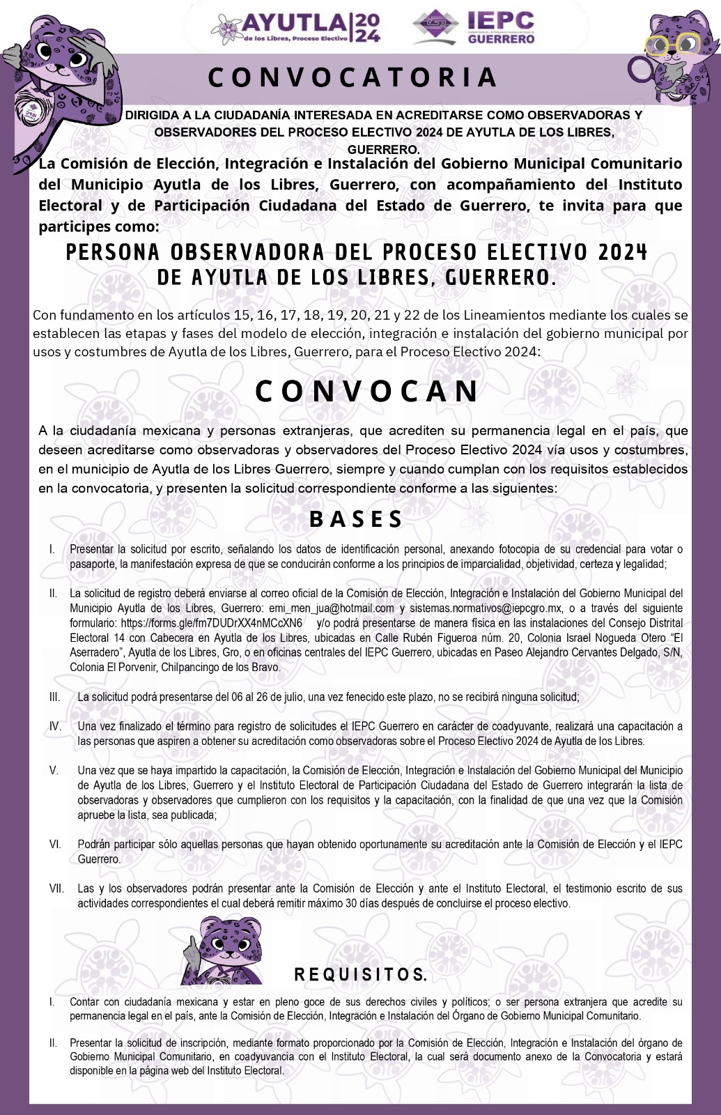 convocatoria_observadores_ayutla_1.jpg