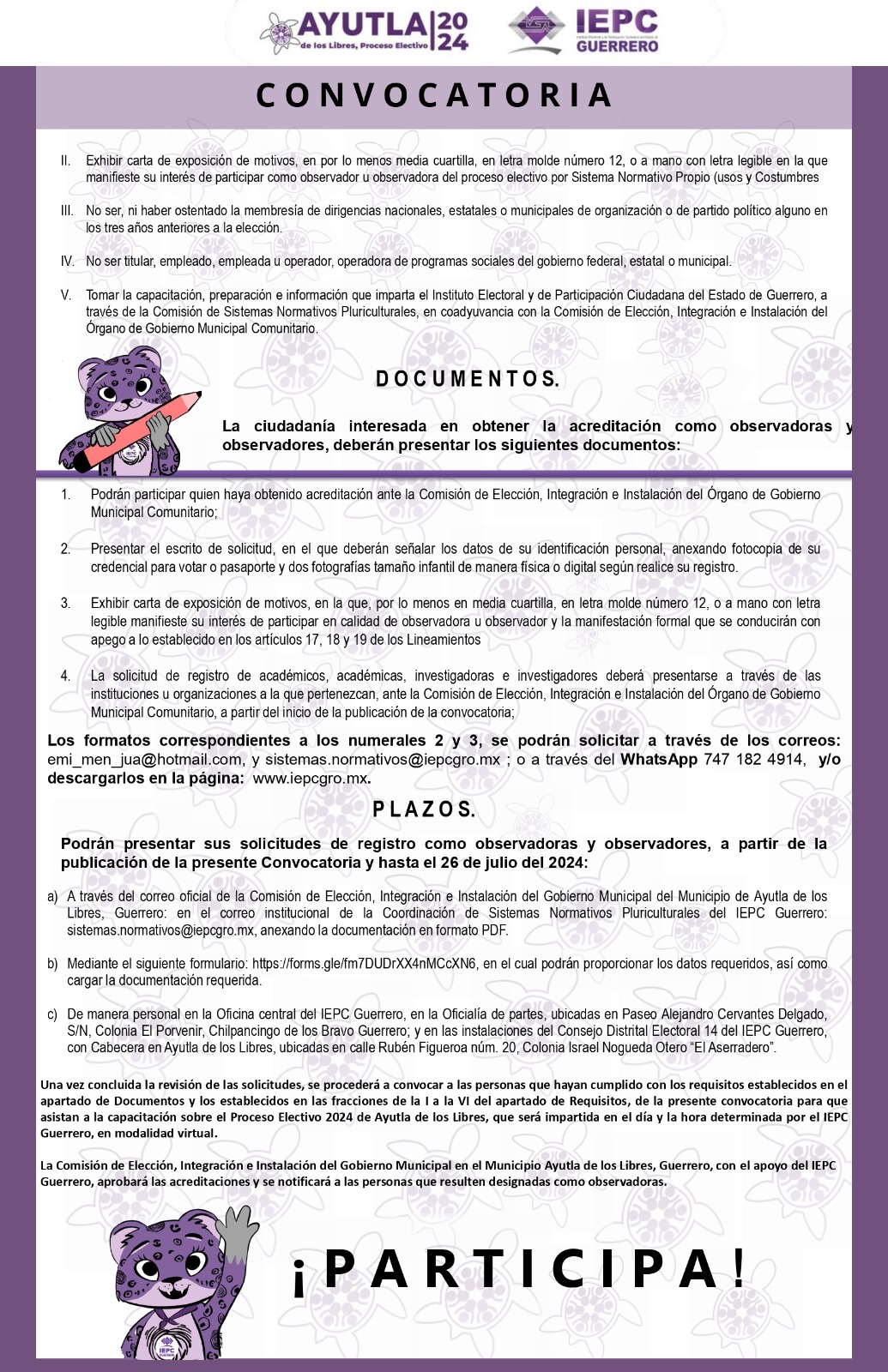 convocatoria_observadores_ayutla_2.jpg