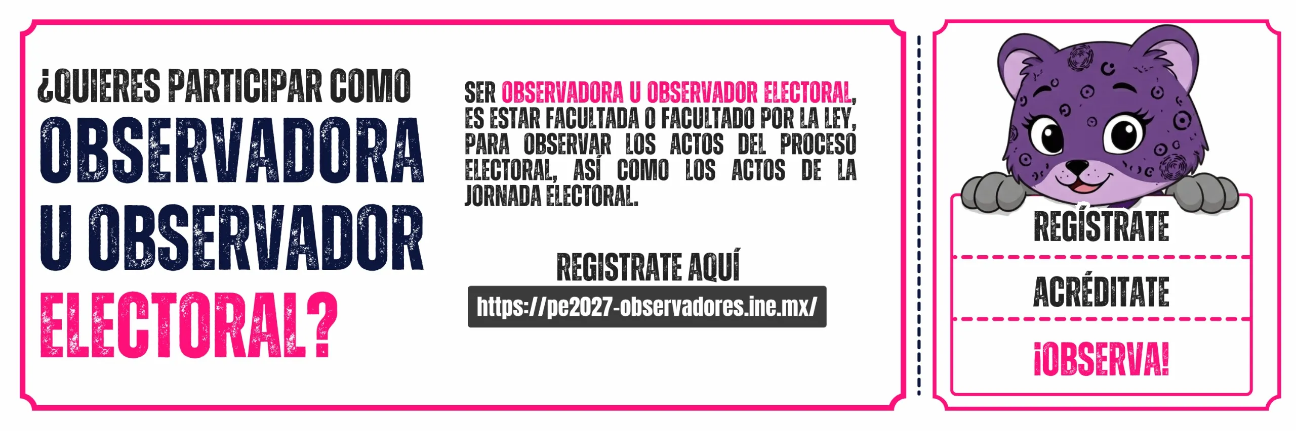 Observación Electoral