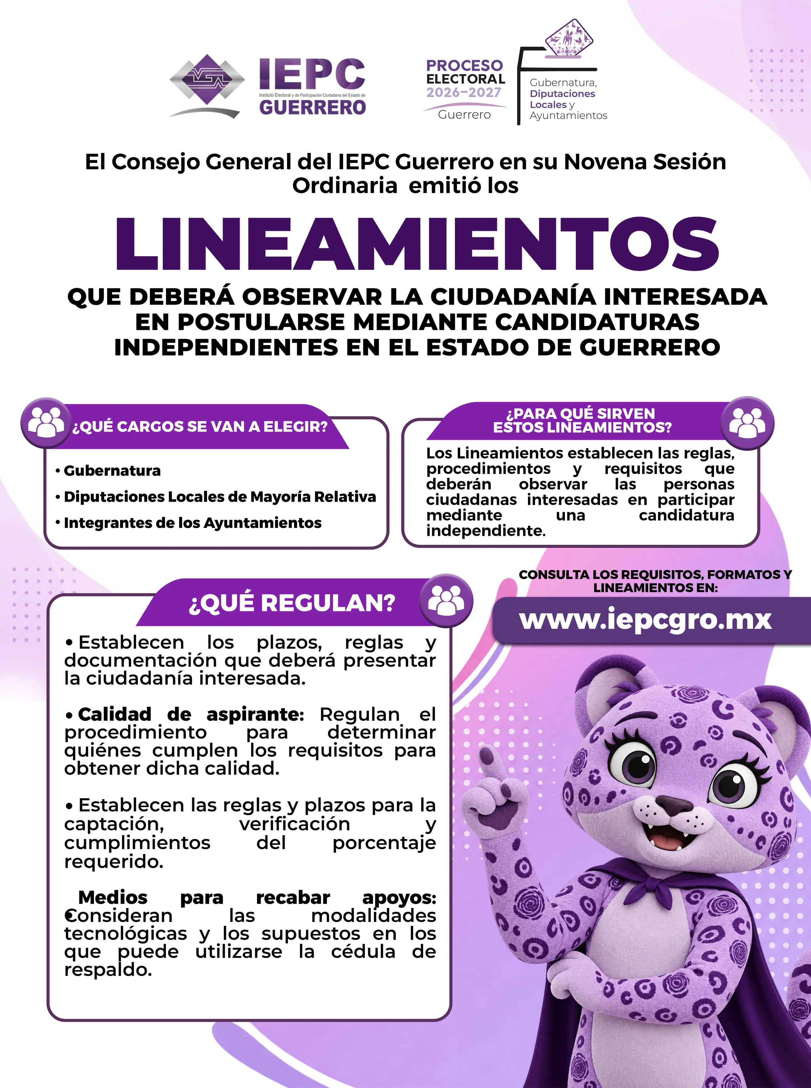 Lineamientos de candidaturas independientes
