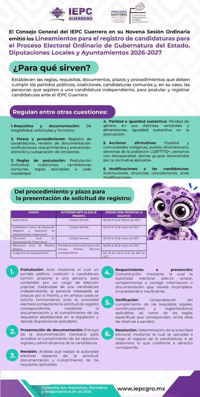 Lineamientos registro de candidaturas