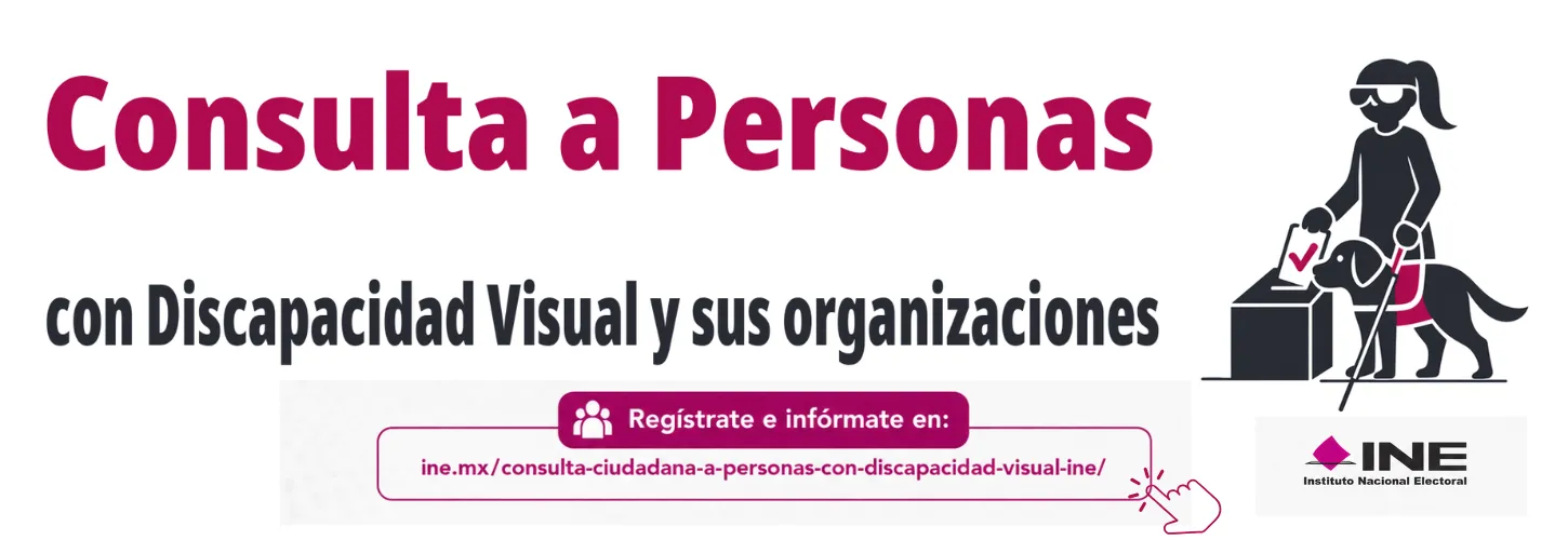 Consulta a Personas con Discapacidad Visual y sus Organizaciones