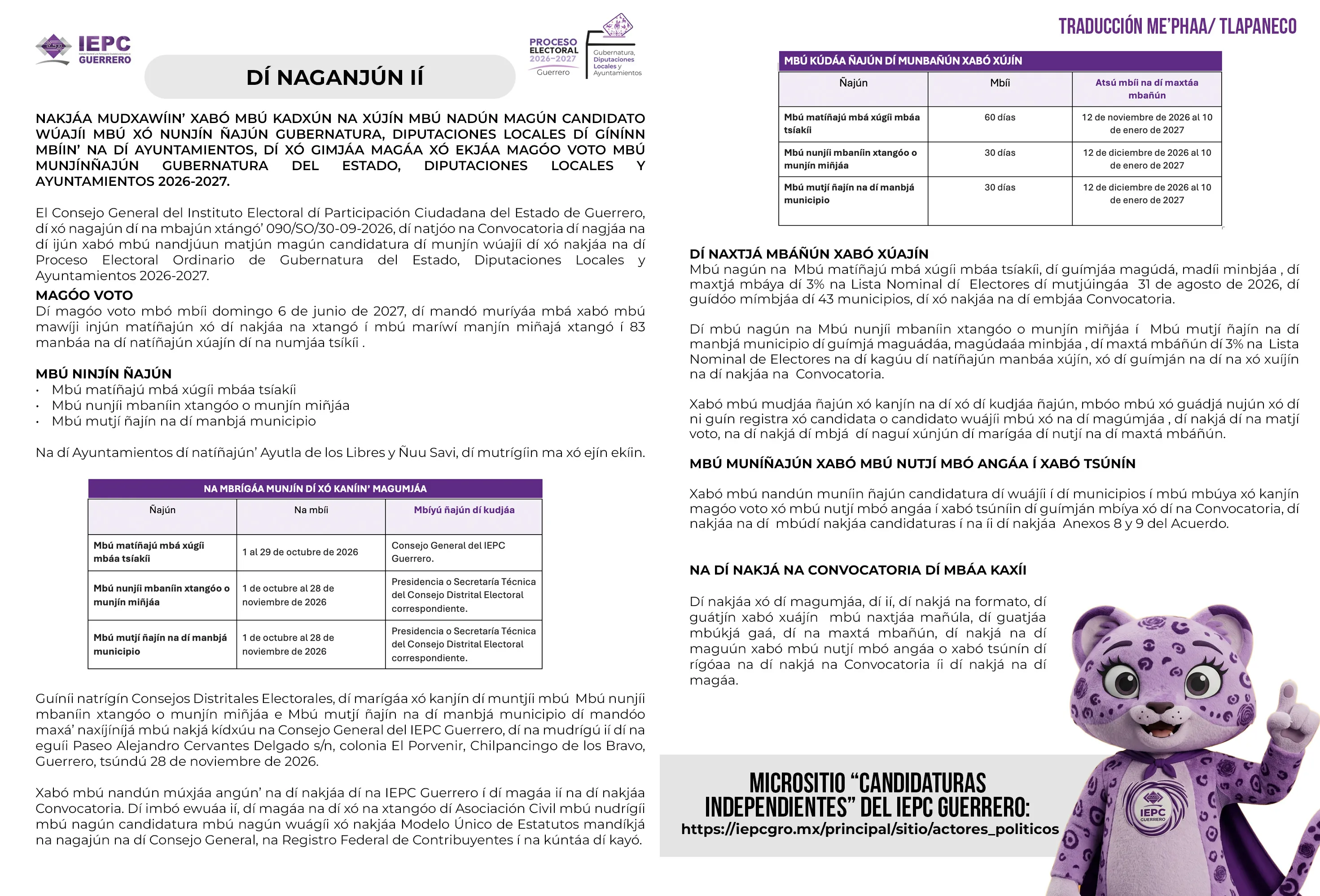 Extracto tlapaneco de la Convocatoria para Candidaturas Independientes.