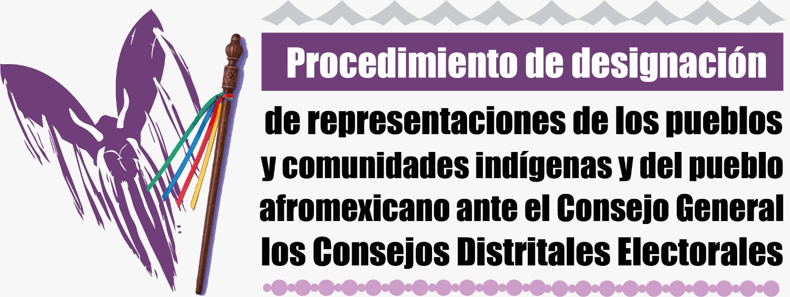 Procedimiento de Designación de Representaciones Indígenas y Afromexicanas